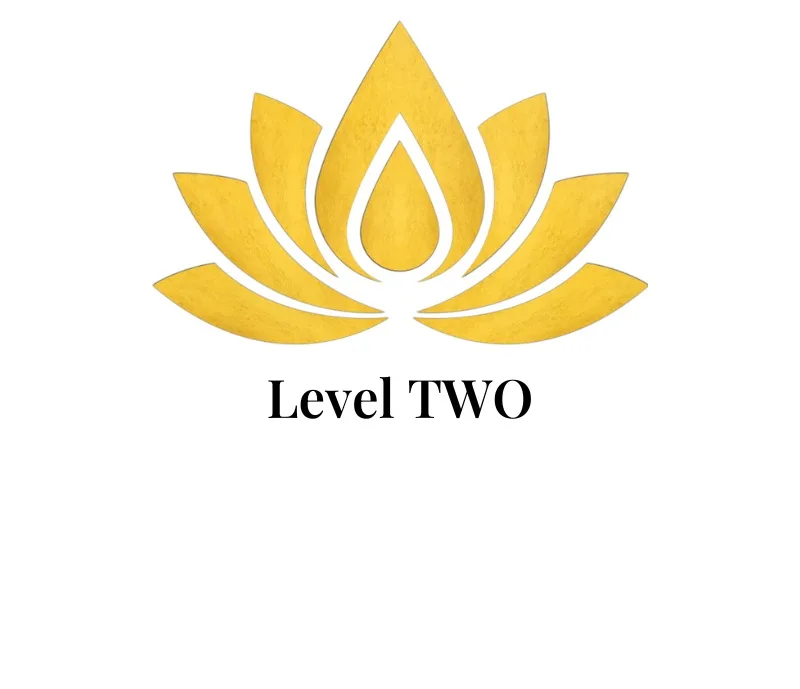 Level 2 - Arms, Upper Lip, Chin, Bikini, French, and the Brazilian