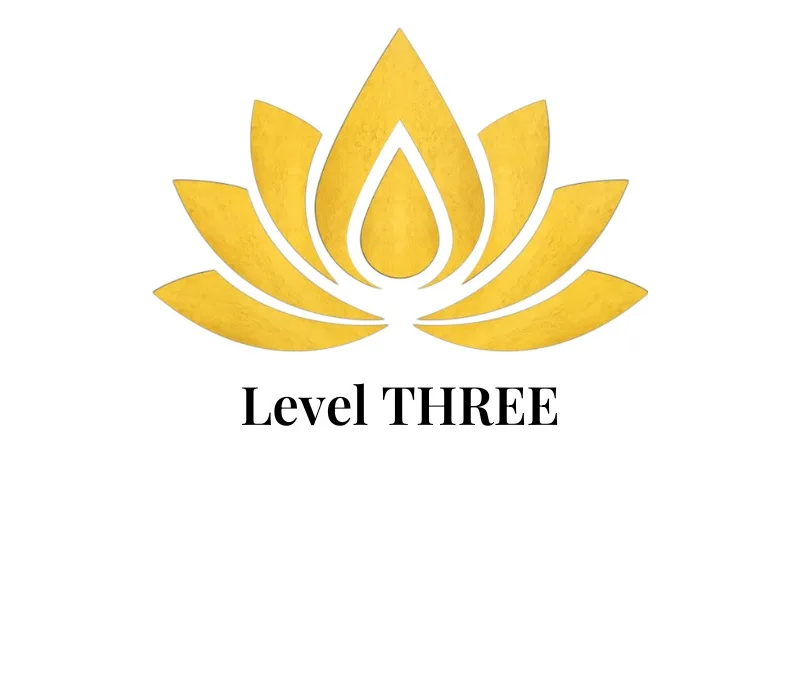 Level 3 - Advanced - Full Face (hormonal hair), Brows, Psoriasis, Men's Services (and manscaping)