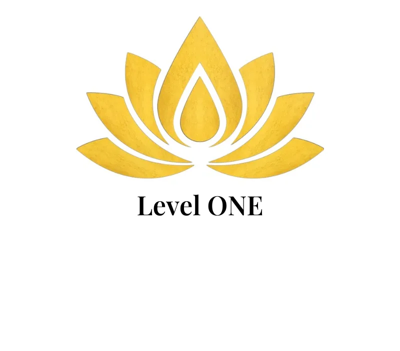 Level 1 - Basic Technique - Leg